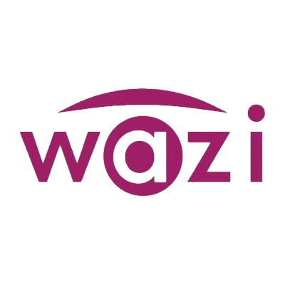 WAZI Vision-v1